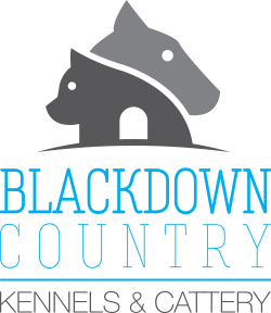 Blackdown Kennels & Cattery South Hams Devon Plymouth Boarding Kennels